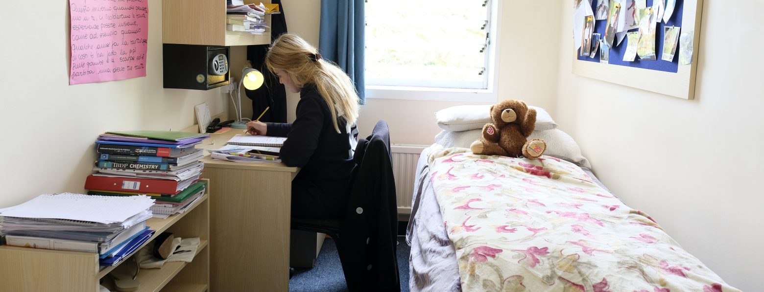 girl studying in her dorm room