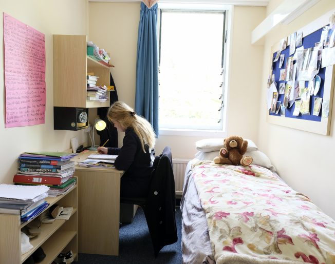 girl studying in her dorm room